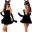 Shirley of Hollywood PURR FECT PUSSYCAT