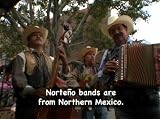 Cinco de Mayo Moo