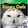 Snowy Owls (Animals That Live in the Tundra)