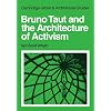 Bruno Taut and the Architecture of Activism (Cambridge Urban and Architectural Studies)