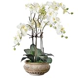 Produkt-Bild: Kunstpflanze "Orchidee" mit braunem Keramiktopf