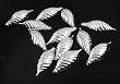 Club Pack of 12 Silver Splendor Shatterproof Finial Christmas Ornaments 4.75"