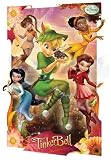Disney Fairies Film-Movie-Kino-3D-Poster, Lenticular