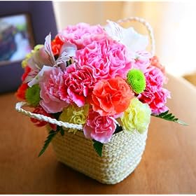 �A�����W�����g(�L�����f�B)�y���������z�y�a�����E�L�O���E���j���E���������E�o�Y�j���E���Ԃ��M�t�g�z