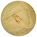 elann Soft Embrace 4-Ply Yarn | 10 Ball Bag | Golden Haze-03