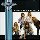 Search : Cruisin' for a Bruisin'