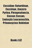 Cossidae: Ratardinae, Cossinae, Zeuzera Pyrina, Phragmataecia, Cossus Cossus, Endoxyla Leucomochla, Prionoxystus Robiniae