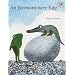 An Extraordinary Egg (Turtleback School & Library Binding Edition)