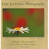 Fine Art Flower Photography: Creative Techniques And The Art Of Observation