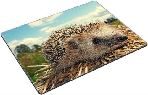 Hedgehog Grass Dry Branches Muzzle Placemat Pads Customized Made To Order Support Ready 15 6/8 Inch (400mm) X 11 13/16 Inch (300mm) X 1/8 Inch (3mm) High Quality Eco Friendly Cloth With Neoprene Rubber Liil Place Mouse Pad Desktop Mousepad Laptop Mousepads Comfortable Table Desk Kitchen Computer Mouse Mat Cute Gaming Mouse_Pad