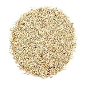 POPPY SEED, WHITE, 1.25 lb. jar