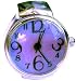 Ring Watch (lavendar)