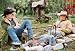 Brokeback Mountain (Einzel-DVD)