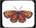 Decorated Mouse Pad with butterfly, purplish, insect, copper