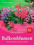 Balkonblumen: Die schönsten Arten für Töpfe und Kästen