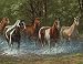 Springbok 500 Piece Jigsaw Puzzle Summer Creek Multi, Large/18 x 23.5