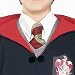 Costumes For All Occasions RU520 Harry Potter Tie