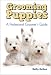 Grooming Puppies: A Professional Groomer's Guide