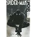 Spider-Man Noir : Les illusions perdues