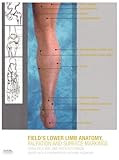 Field's lower limb anatomy, palpation and surface markings