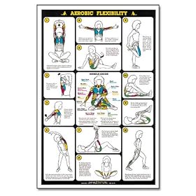 Click here to buy Algra Fitnus Chart Aerobic Flexibility.