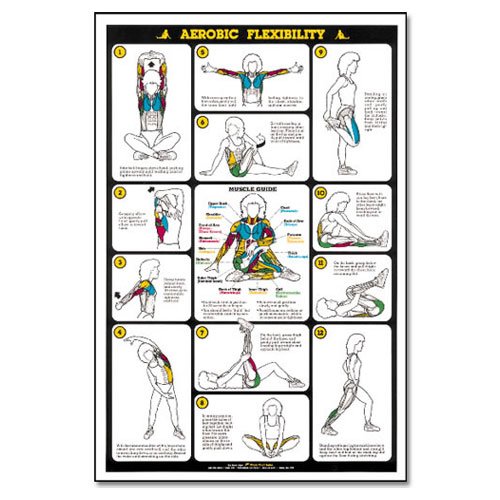 Algra Fitnus Chart Aerobic Flexibility reviews