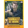 Animals At Work With John Barrowman [3 DVD BOXSET]
