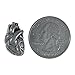 Jim Clift Design Human Heart Lapel Pin - 1 Count