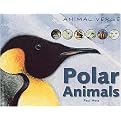 Polar Animals (Animal Verse Series) (Paperback)
