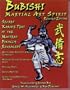Bubishi: Martial Art Spirit Revised Edition