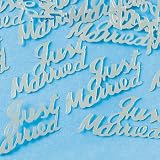 Silver Just Married Confetti (2 oz)