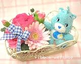 �y�M�t�g�E���蕨�Ɂz�y���������z�~�j�~�j�t�����[�A�����W���x�C�r�[�P�A�x�A�Z�b�g�i�u���[�jFL-WD-901