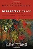 Disruptive Grace: Reflections on God, Scripture, and the Church