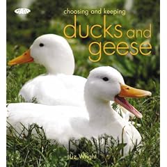 Choosing and Keeping Ducks and Geese