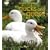 Choosing and Keeping Ducks and Geese