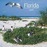 Florida 2009 7X7 Mini Wall Calendar