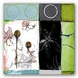 Flower IV by Veronica Rosas 24"x24" Art Print Poster