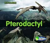 Pterodactyl (Dinosaurs)