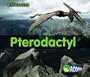 Pterodactyl (Dinosaurs)