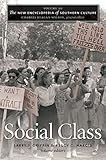 Social class