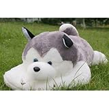 18"/45cm Big large NATURE Siberian Husky dog PLUSH STUFFED animal toy lying face (1 plush toy only)