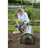 Kitchen Garden Cloche