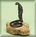 Trance King Cobra Snake 36 Plush Stuffed Animal Toy