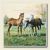 Yearlings Absorbastone Western Horse Six Inch Tile Trivet