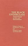 The black underclass : critical essays on race and unwantedness