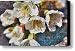 CHERRY BLOSSOM 5 Canvas Print / Canvas Art - Artist ISSAM TANNOUS