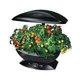 AeroGarden  Cherry Tomato Seed Kit