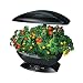 Outdoor Living : AeroGarden  Cherry Tomato Seed Kit