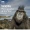 TOP WILDLIFE AND NATURE PHOTOGRAPHY BOOKS