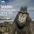 wildlife home